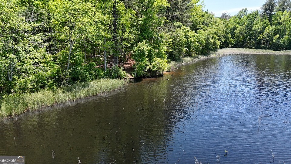 993 Cheatham Road Griffin, GA 30223 - Photo 15 of 15