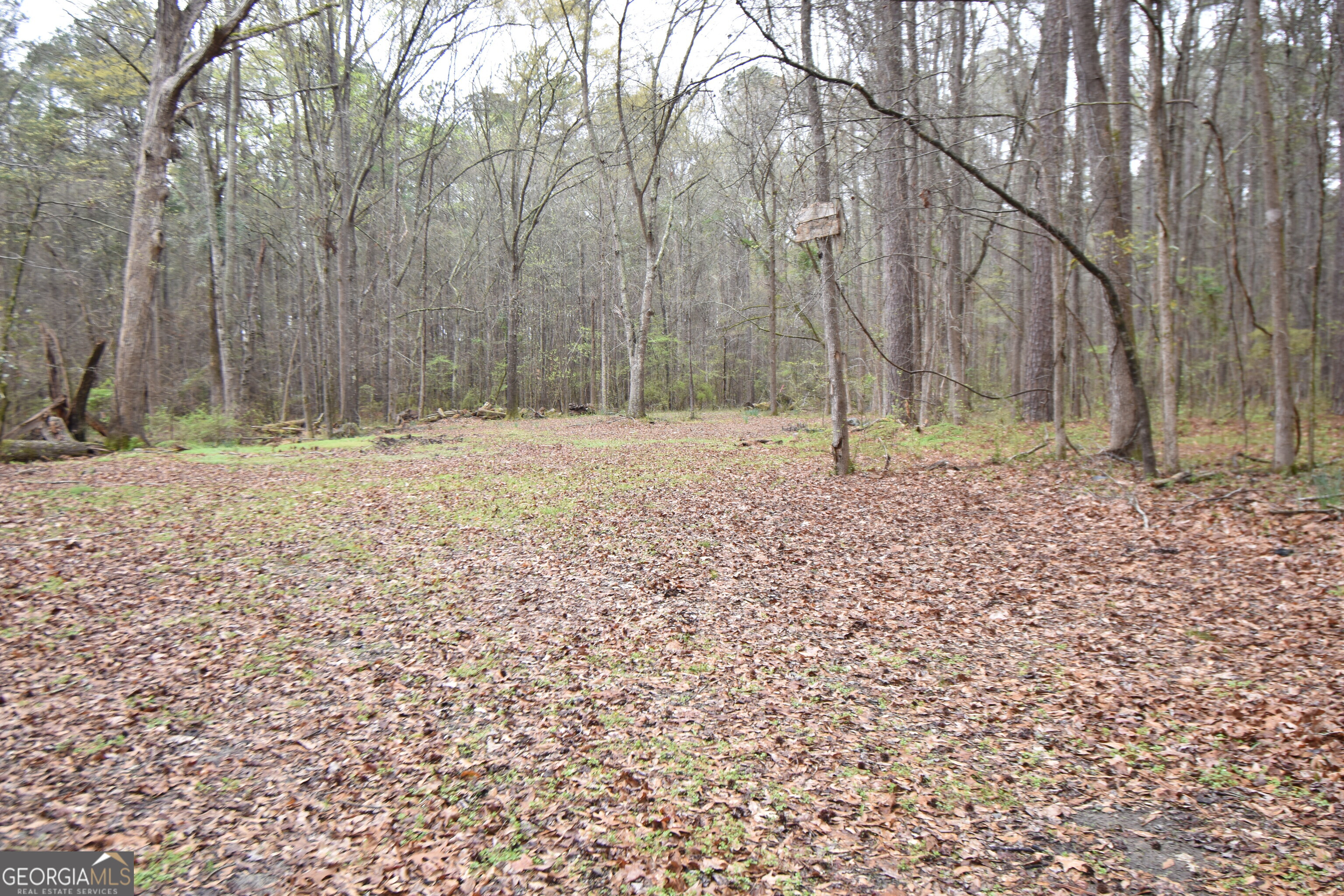 993 Cheatham Road Griffin, GA 30223 - Photo 4 of 6 a backyard of a house with lots of green space