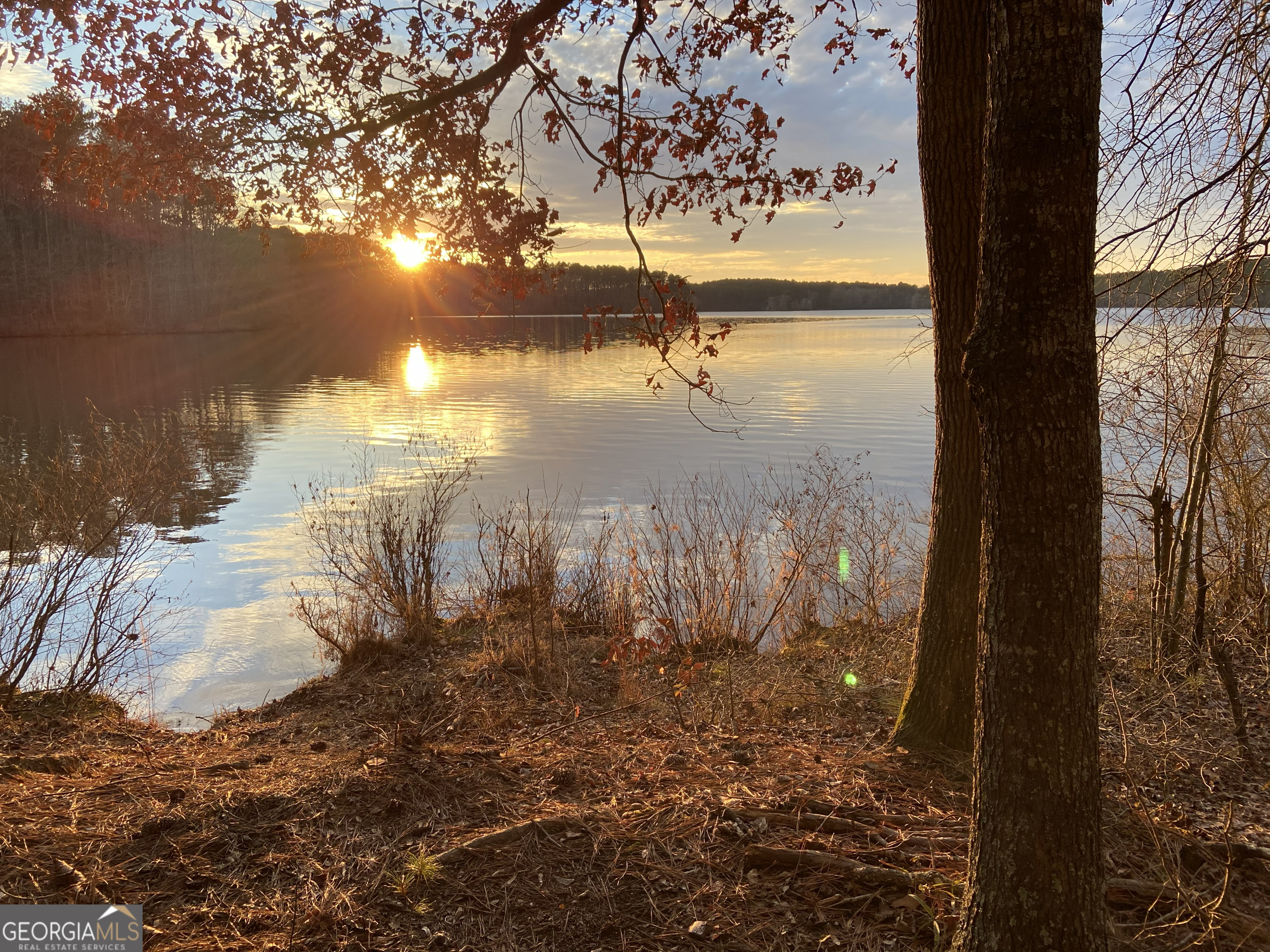 993 Cheatham Road Griffin, GA 30223 - Photo 6 of 6 a view of a yard