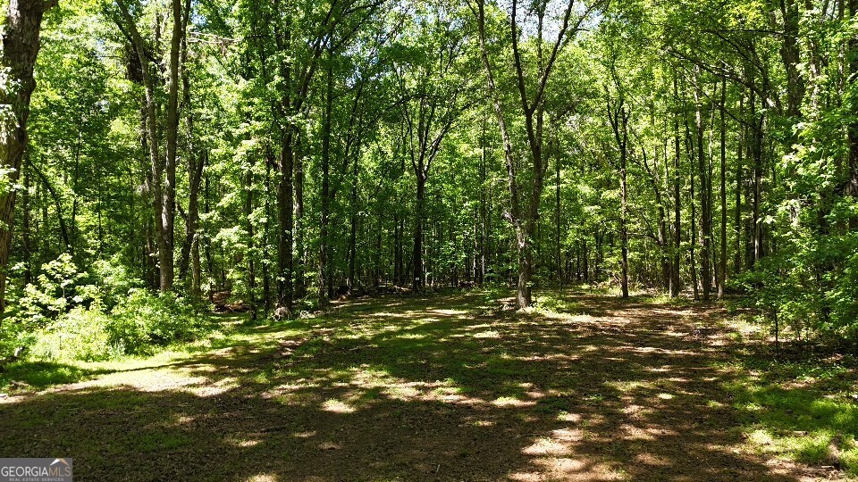 993 Cheatham Road Griffin, GA 30223 - Photo 8 of 15