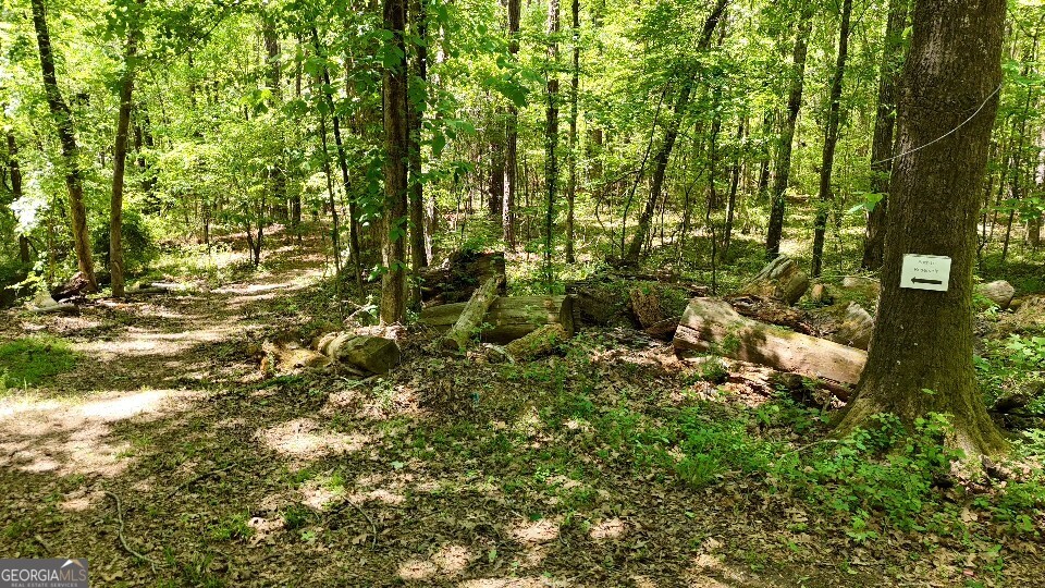 993 Cheatham Road Griffin, GA 30223 - Photo 10 of 15