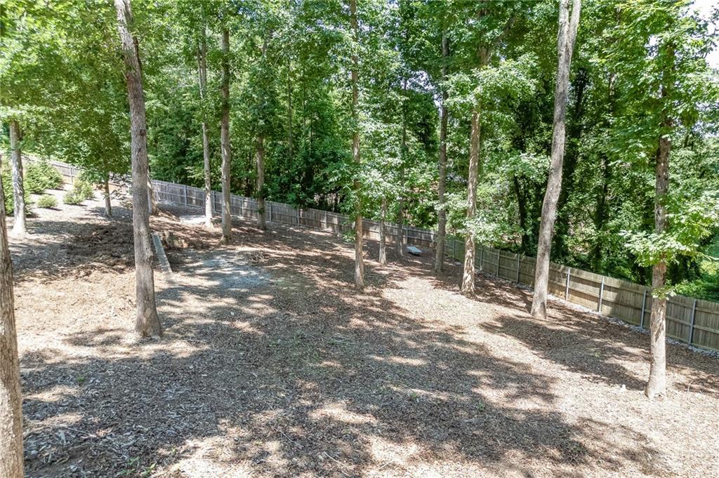 3803 Carter Road Buford, GA 30518 - Photo 51 of 58
