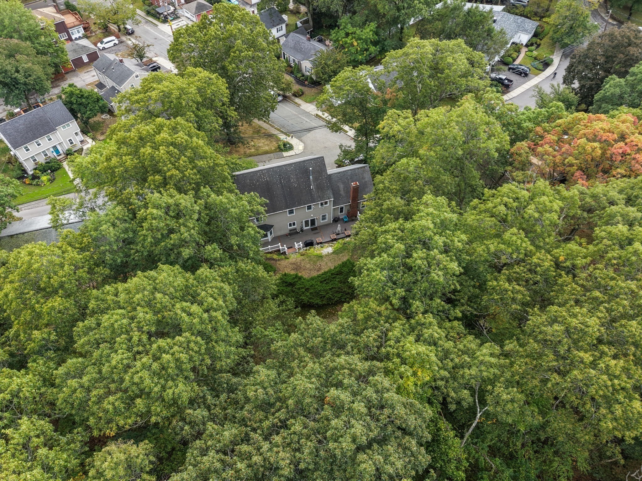 55 Brook Farm Road Boston, MA 02132 - Photo 31 of 32 Gallery Image 31