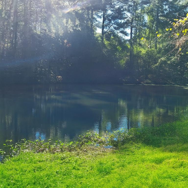 681 Mullinax Road Jasper, GA 30143 - Photo 21 of 36