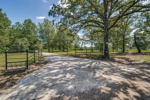 a view of park with trees