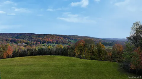 a view of a grassy field with mountains in the background