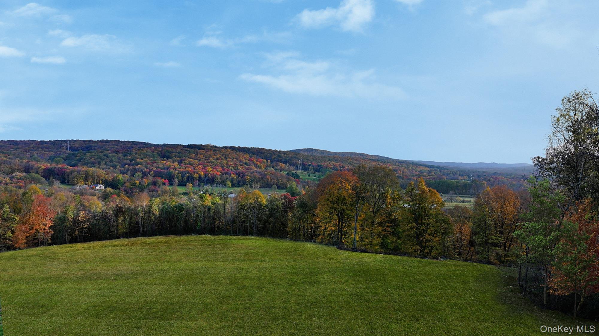 a view of a grassy field with mountains in the background