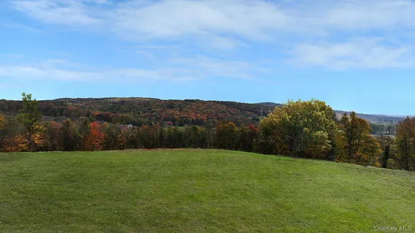 a view of grassy field with mountain