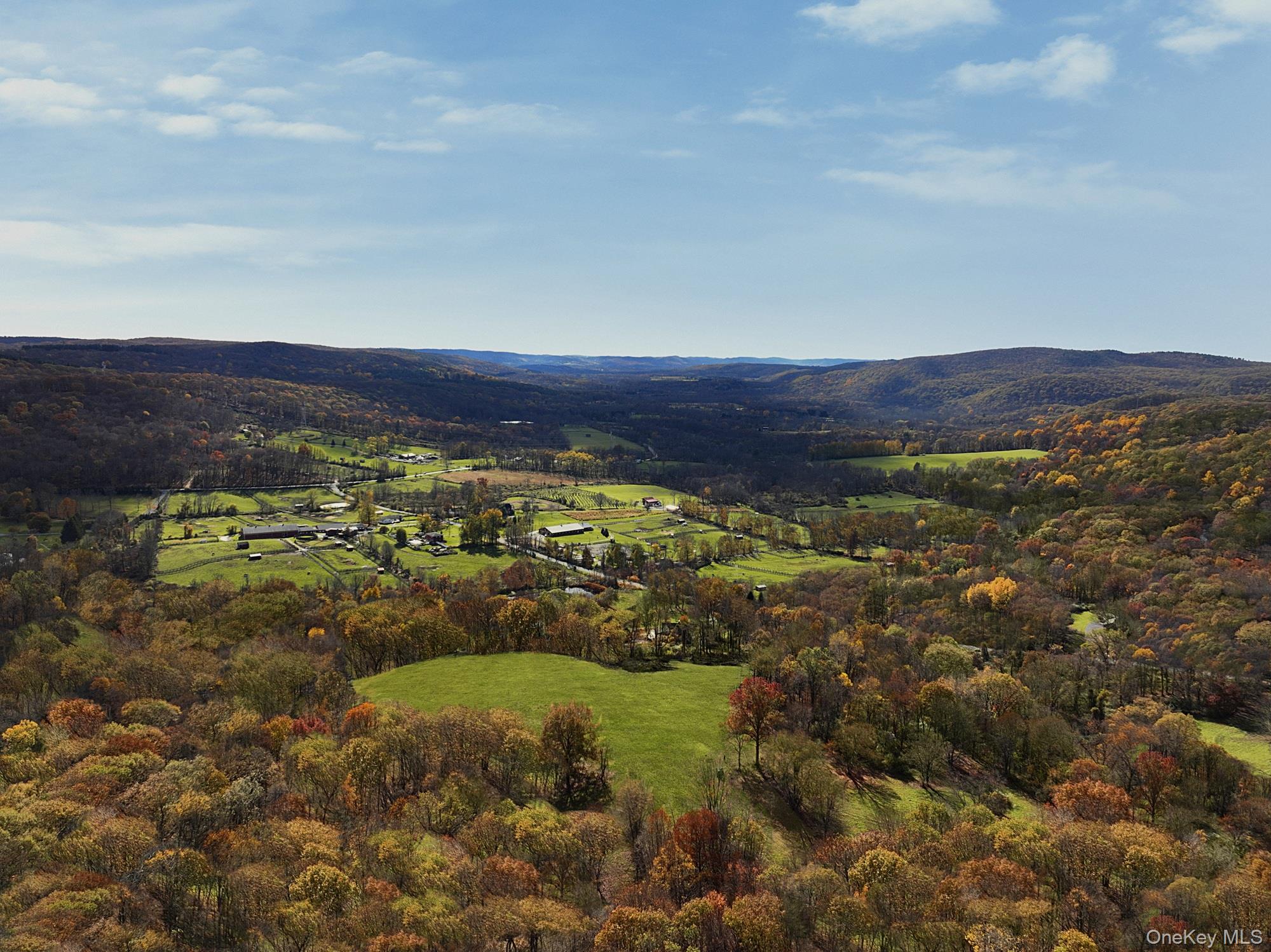 Brush Hill Road Millbrook, NY 12545 - Photo 6 of 10 a view of a lush green forest with lots of trees