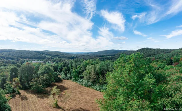 $1,200,000 | Brush Hill Road, Millbrook, NY 12545