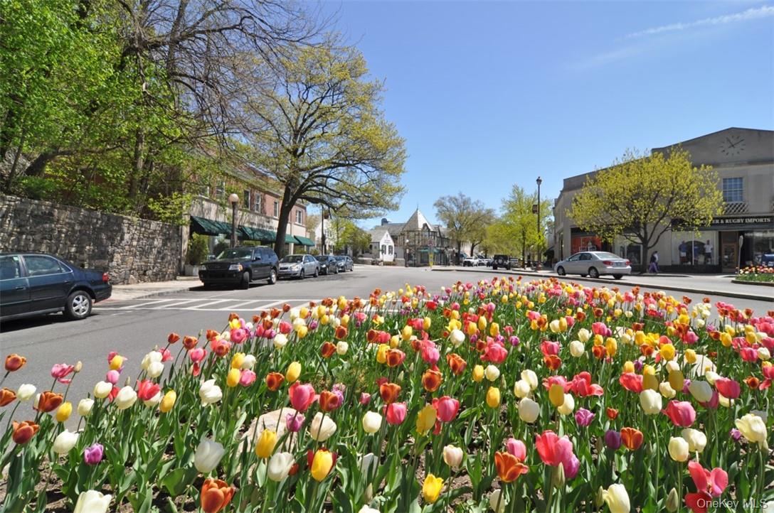 64 Sagamore Road, Unit H6 Bronxville, NY 10708 - Photo 9 of 13 Village of Bronxville
