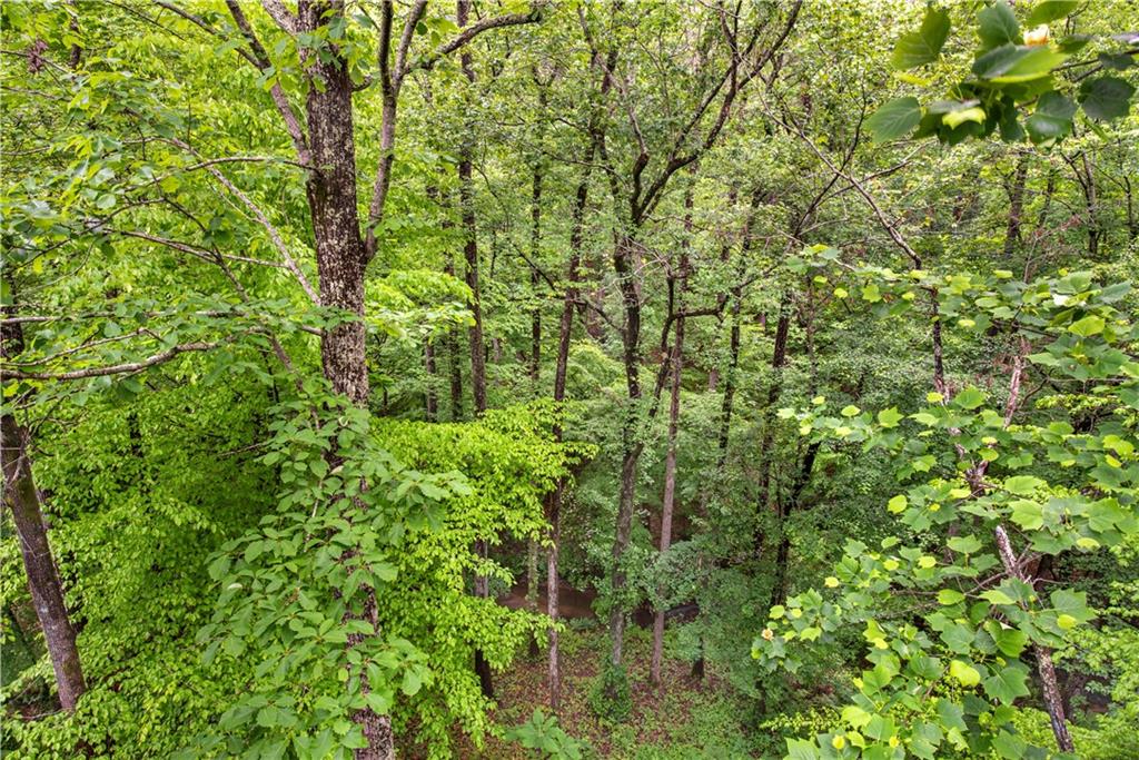 3859 Cochran Lake Road Marietta, GA 30062 - Photo 20 of 73 Gallery Image 20