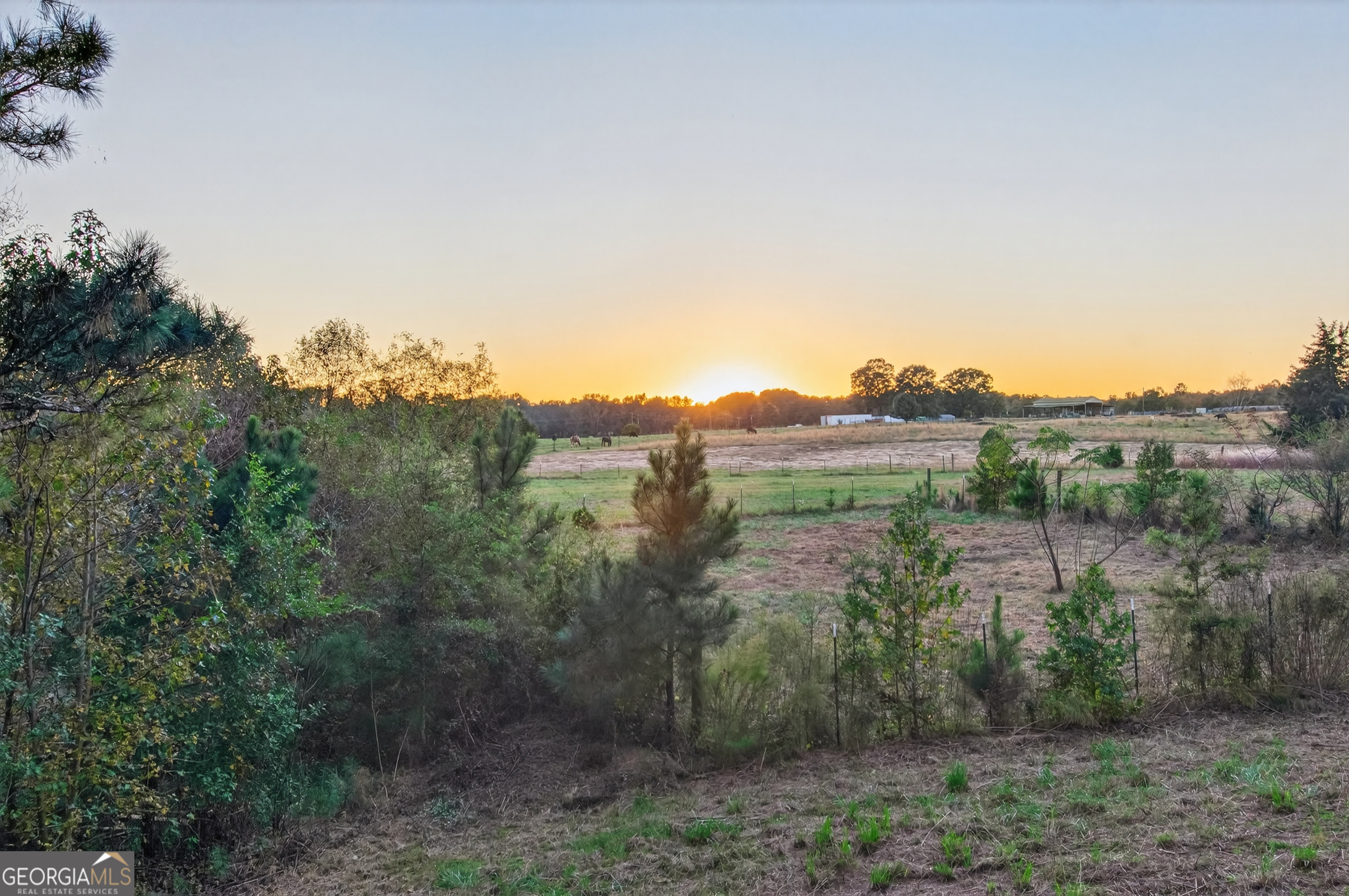 134 Mitchell Farm Road Colbert, GA 30628 - Photo 45 of 46