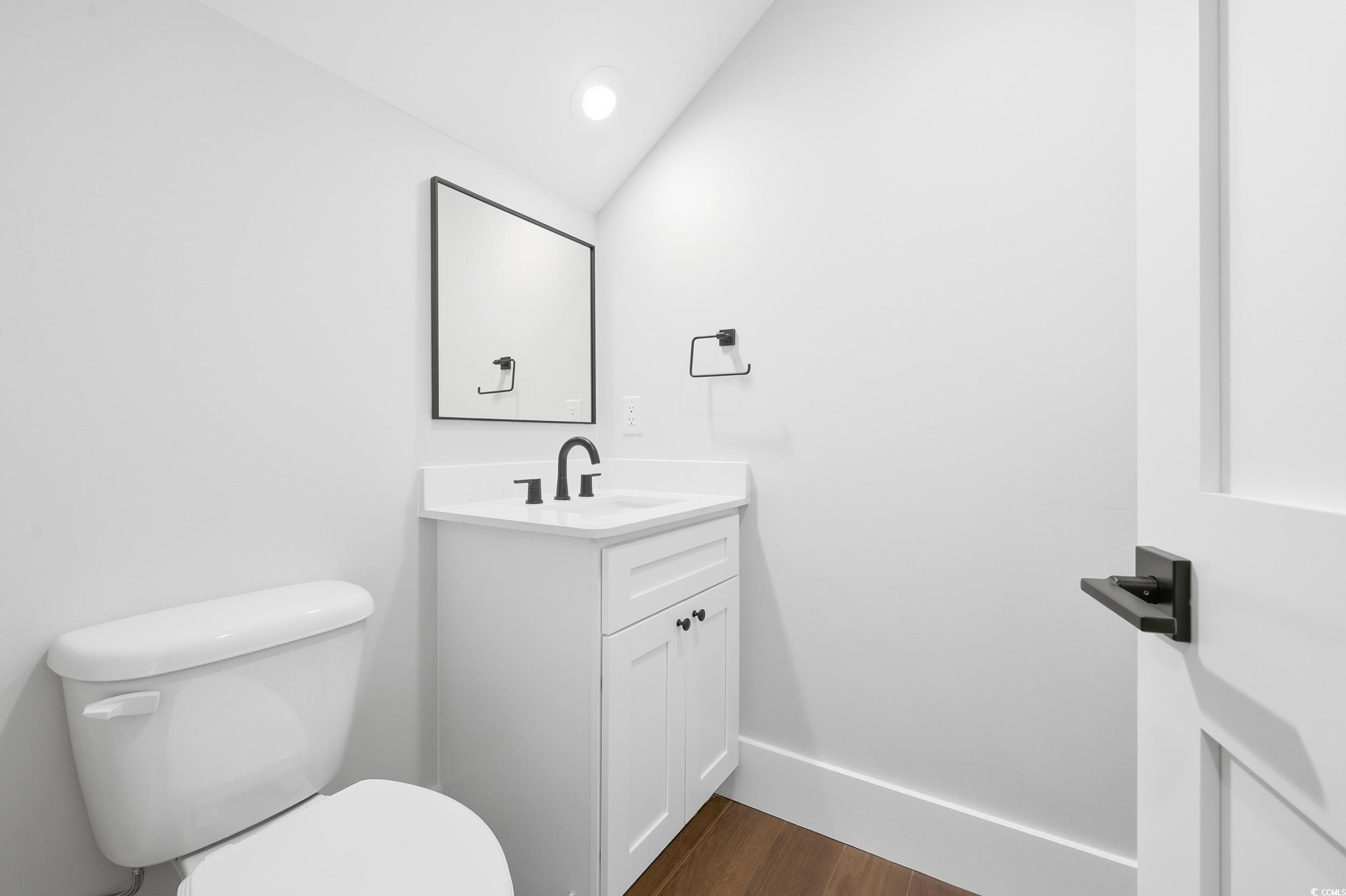 813 Commanders Island Road Georgetown, SC 29440 - Photo 13 of 39 Half bathroom featuring vanity, dark wood-style floors, and lofted ceiling