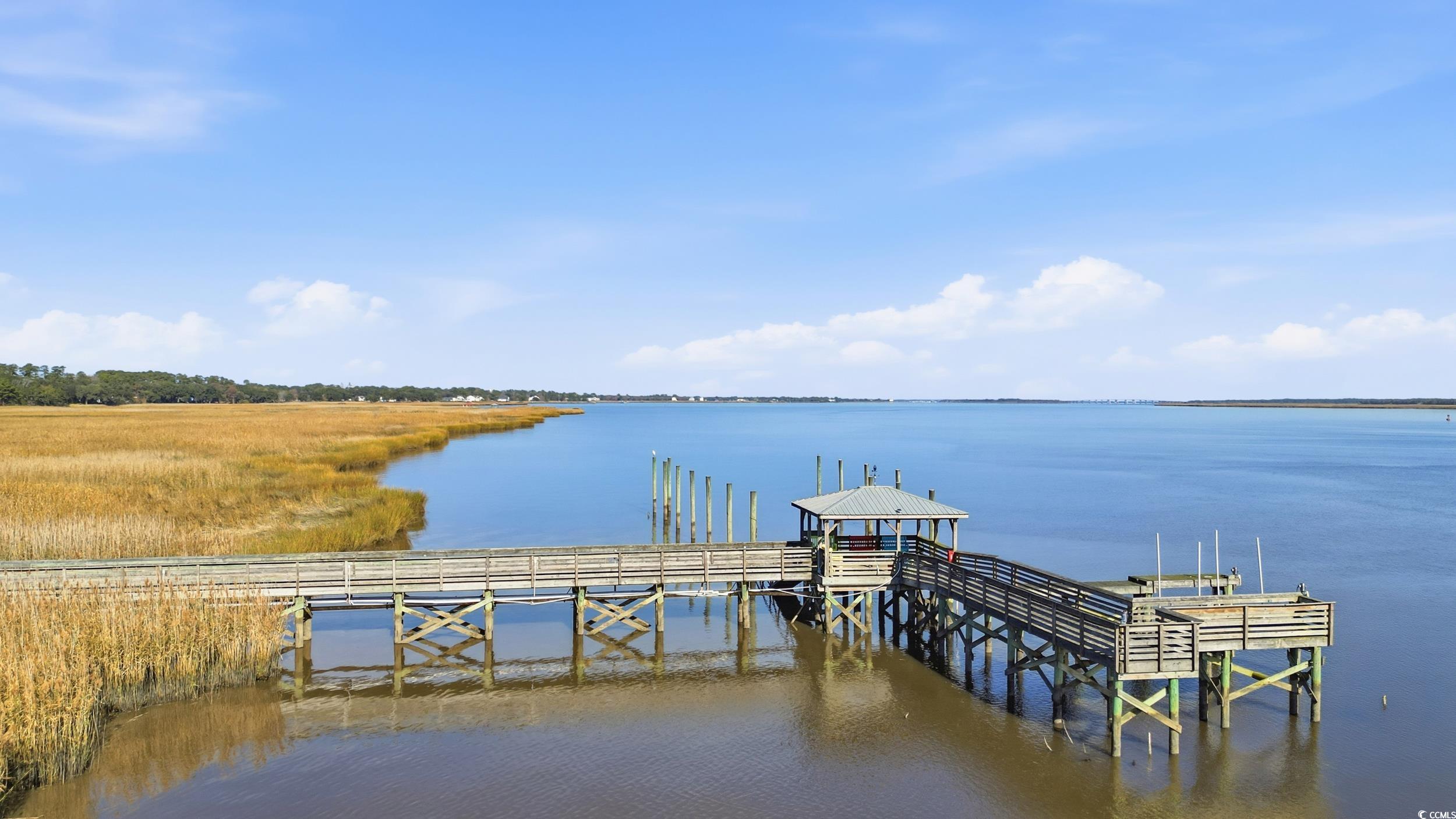 813 Commanders Island Road Georgetown, SC 29440 - Photo 39 of 39 Dock with a water view