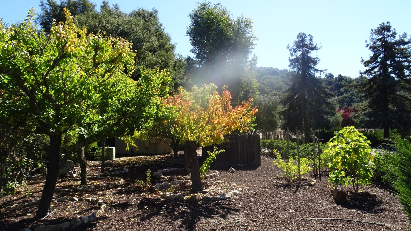 529 Corral De Tierra Road Salinas, CA 93908 - Photo 21 of 22 a garden view with a sitting space
