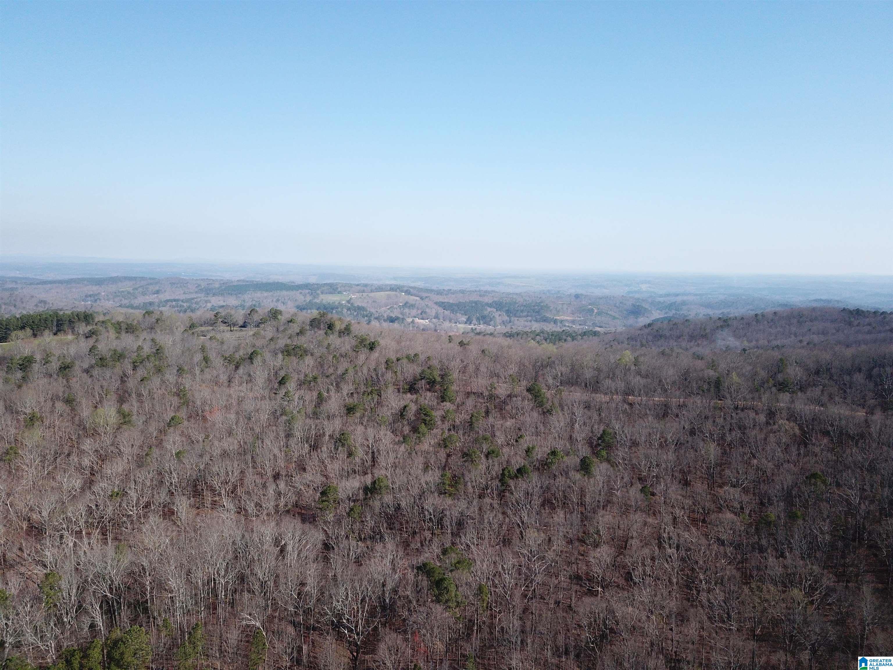 0 County Road 852, Unit 2 Ranburne, AL 36273 - Photo 19 of 19