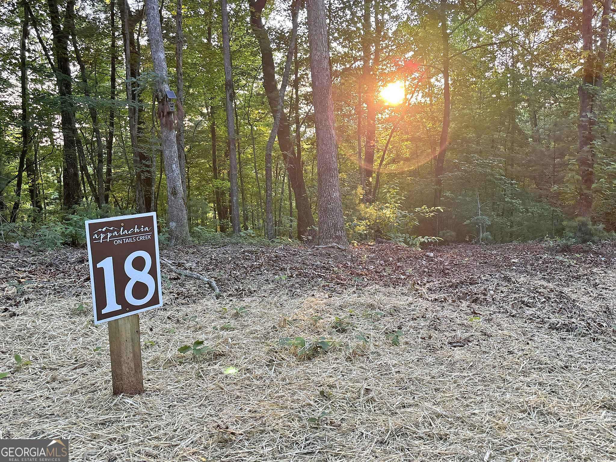 Lot 18 Mt Springer Road Ellijay, GA 30540 - Photo 4 of 31
