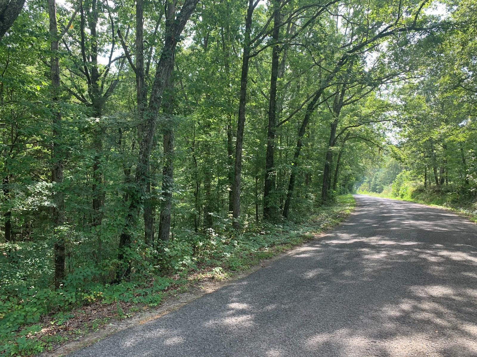 75.5-acres Rome Road Lancing, TN 37770 - Photo 2 of 7 Road frontage