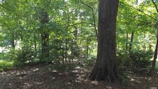 75.5-acres Rome Road Lancing, TN 37770 - Photo 3 of 7 Tree lot