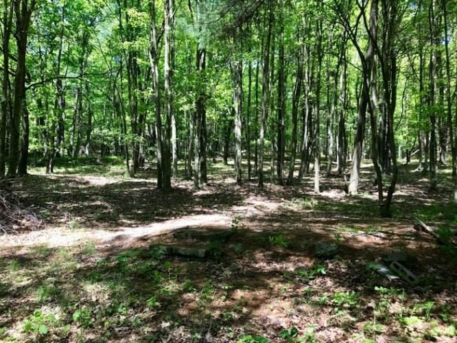 75.5-acres Rome Road Lancing, TN 37770 - Photo 6 of 7 view layout