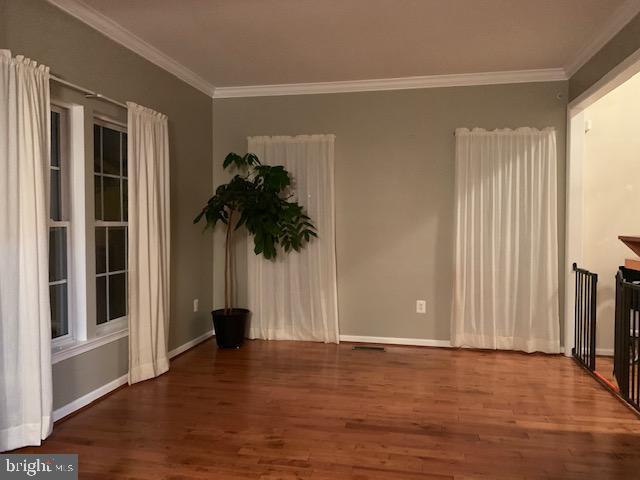 Family Room off of Foyer