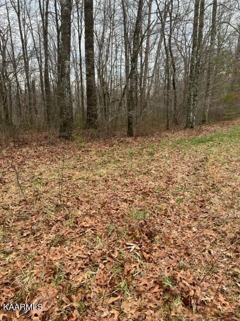 Stone Haven Trail Jamestown, TN 38556 - Photo 1 of 8 2.67 acres Stone Haven Trail