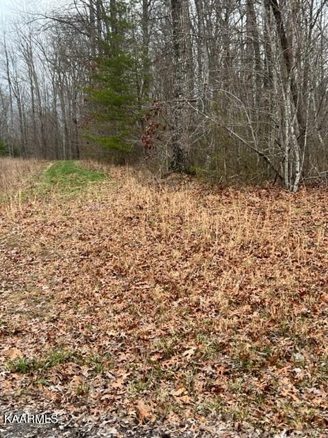 Stone Haven Trail Jamestown, TN 38556 - Photo 3 of 8 Stone Haven Lot