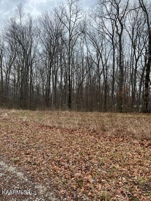 Stone Haven Trail Jamestown, TN 38556 - Photo 5 of 8 2.67 Acres