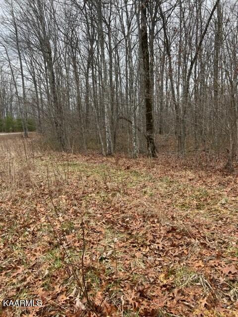 Stone Haven Trail Jamestown, TN 38556 - Photo 6 of 8 Stone Haven Trail