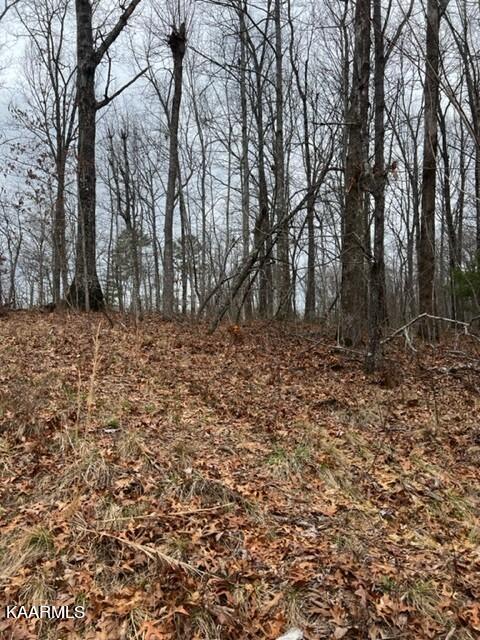 Stone Haven Trail Jamestown, TN 38556 - Photo 7 of 8 Coming from Ridge Crest