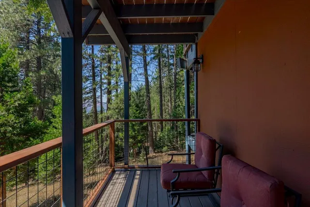 a view of a yard with plants and trees