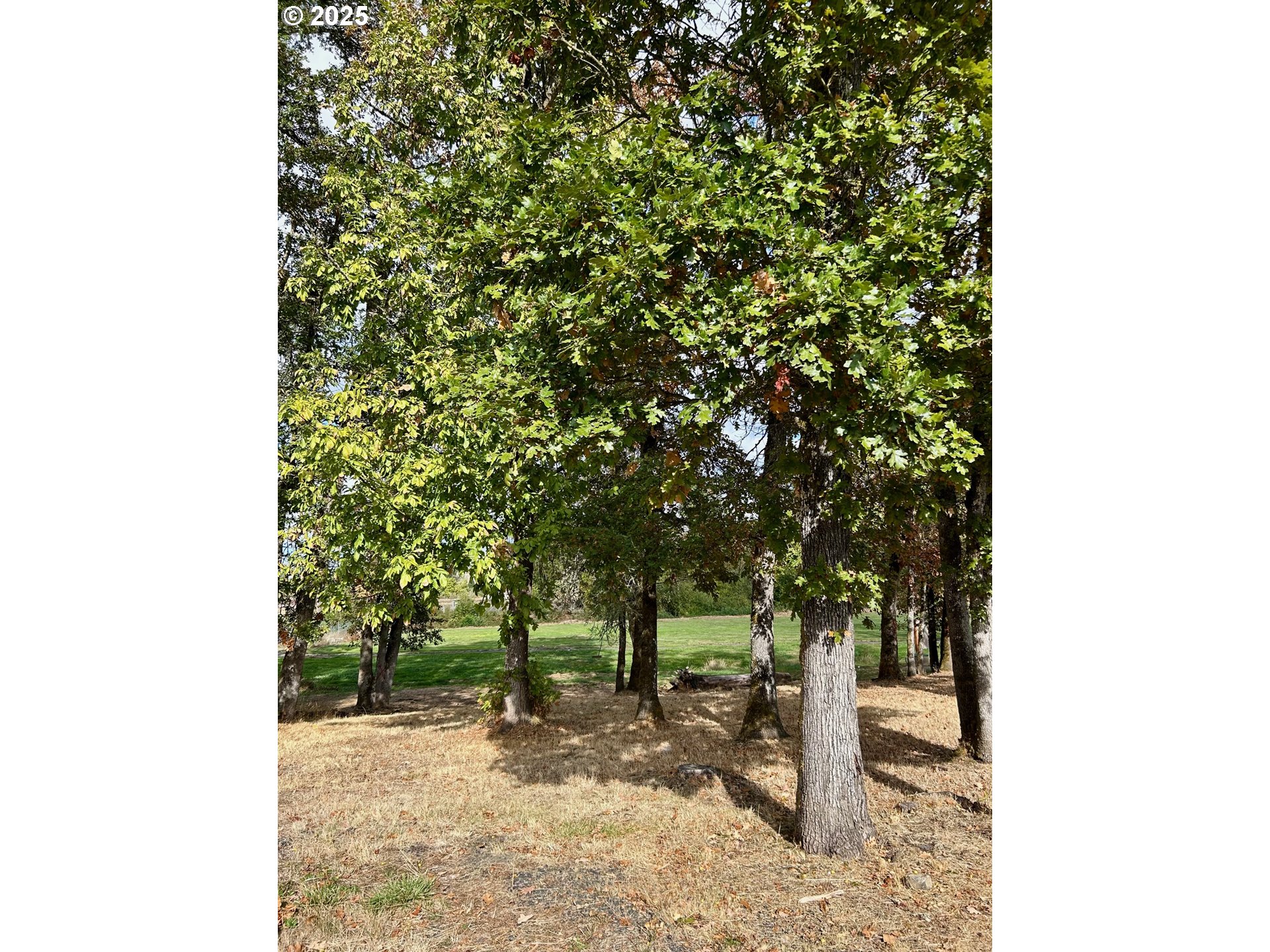 34956 Seavey Loop Road, Unit 74 Eugene, OR 97405 - Photo 13 of 13 Gallery Image 13