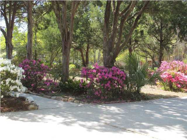 919 Tall Pine Road Mount Pleasant, SC 29464 - Photo 3 of 4 Additional Photo