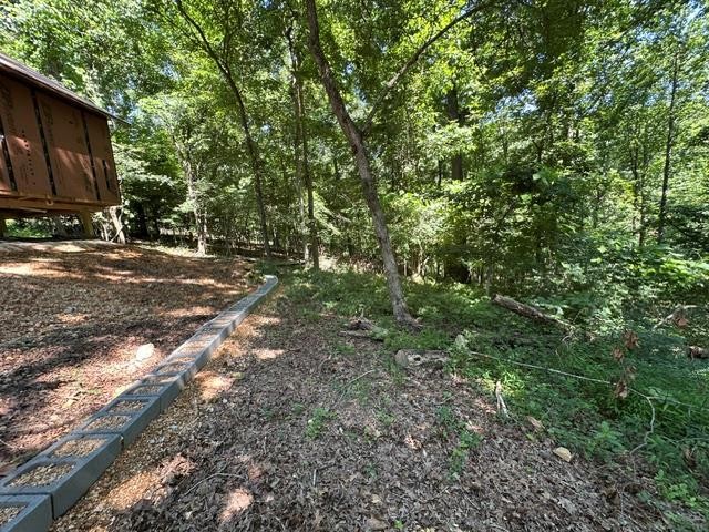 684 Eva Flatwoods Road Eva, TN 38333 - Photo 37 of 43