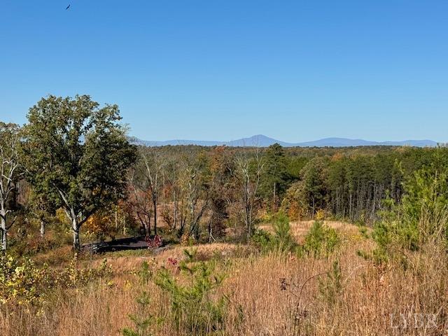 -7 Ac Oak Rdg Road Appomattox, VA 24522 - Photo 1 of 18 Gallery Image 1