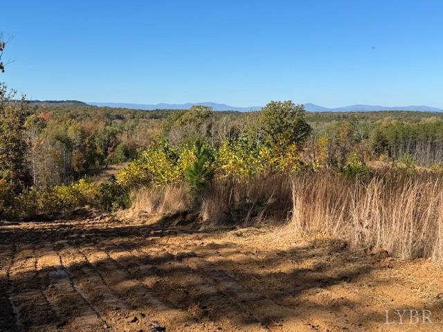 -7 Ac Oak Rdg Road Appomattox, VA 24522 - Photo 11 of 18 Gallery Image 11