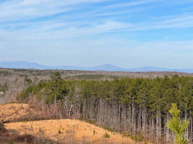 -7 Ac Oak Rdg Road Appomattox, VA 24522 - Photo 14 of 18 Gallery Image 14