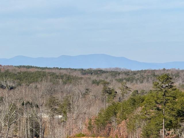 -7 Ac Oak Rdg Road Appomattox, VA 24522 - Photo 18 of 18 Gallery Image 18