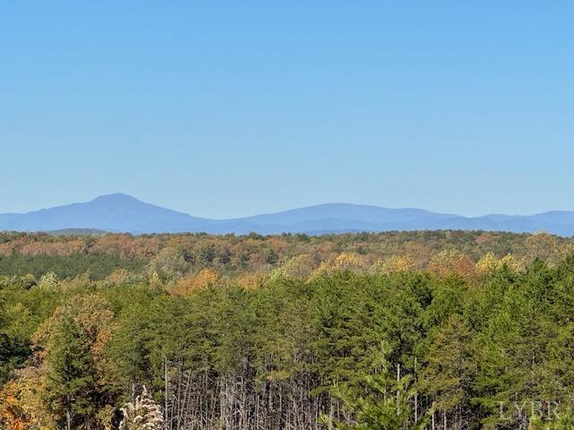 -7 Ac Oak Rdg Road Appomattox, VA 24522 - Photo 4 of 18 Gallery Image 4