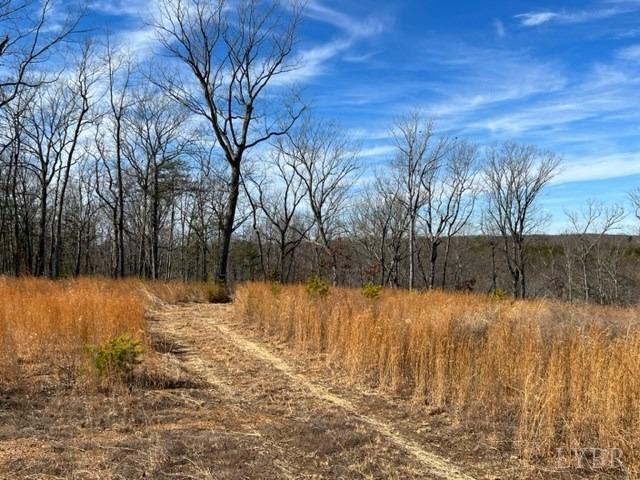 -7 Ac Oak Rdg Road Appomattox, VA 24522 - Photo 6 of 18 Gallery Image 6