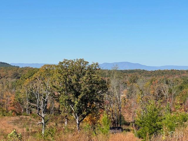 -7 Ac Oak Rdg Road Appomattox, VA 24522 - Photo 9 of 18 Gallery Image 9