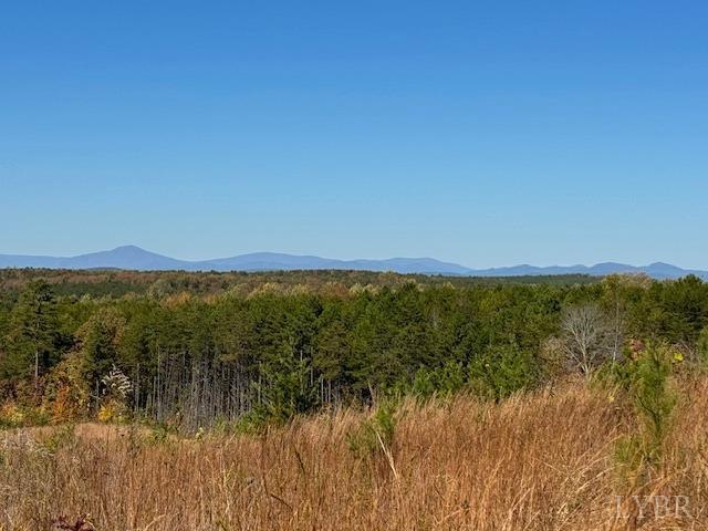 -7 Ac Oak Rdg Road Appomattox, VA 24522 - Photo 10 of 18 Gallery Image 10