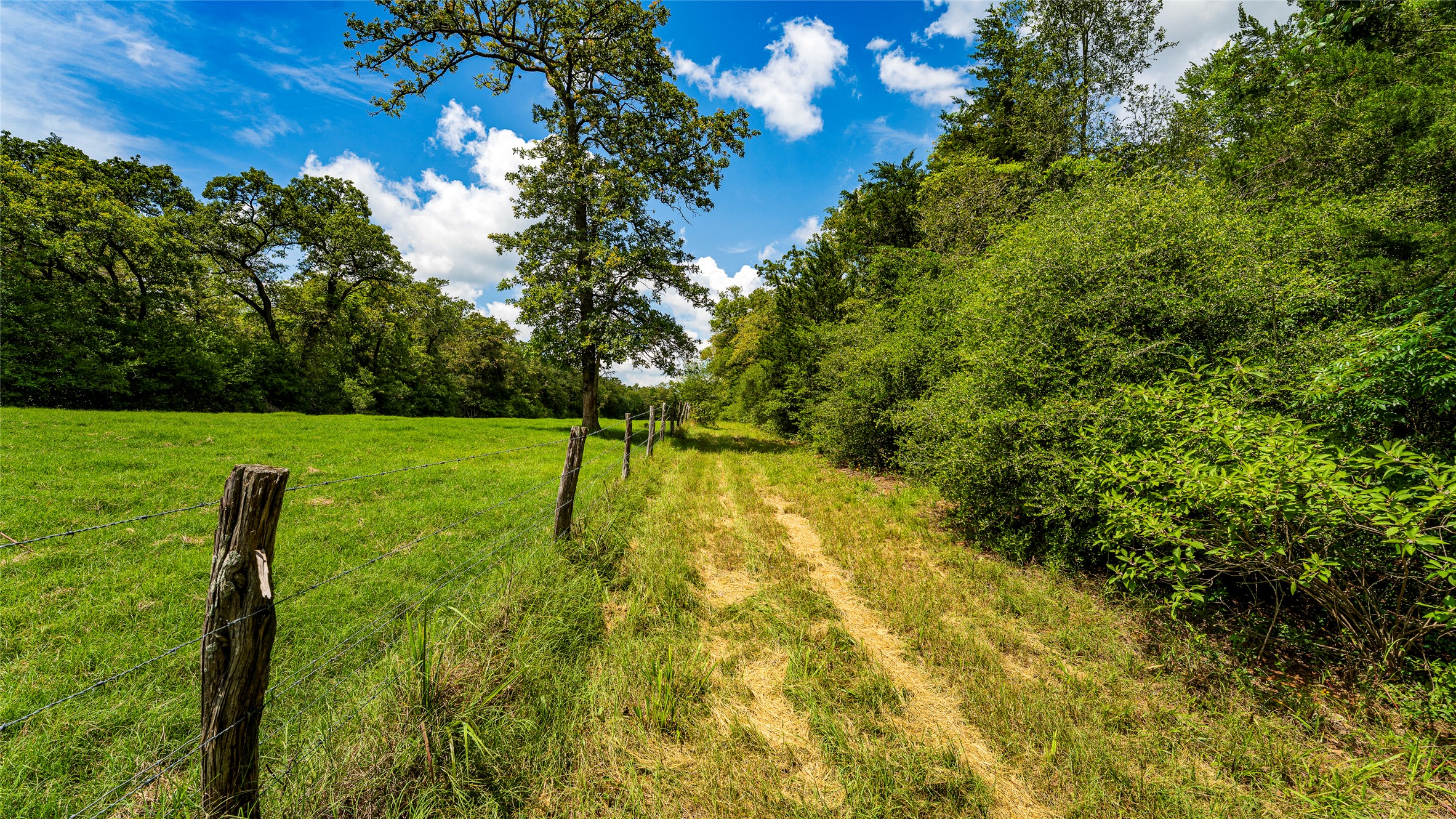 1470 22 Hills Road Gause, TX 77857 - Photo 6 of 35 Vast green fields and dense woodland define this expansive natural property.