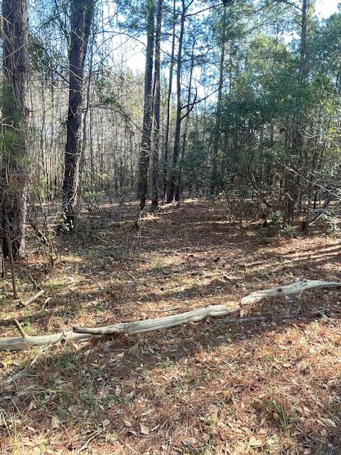 Tbd M W Rickenbaker Road Summerton, SC 29148 - Photo 4 of 6 Gallery Image 4