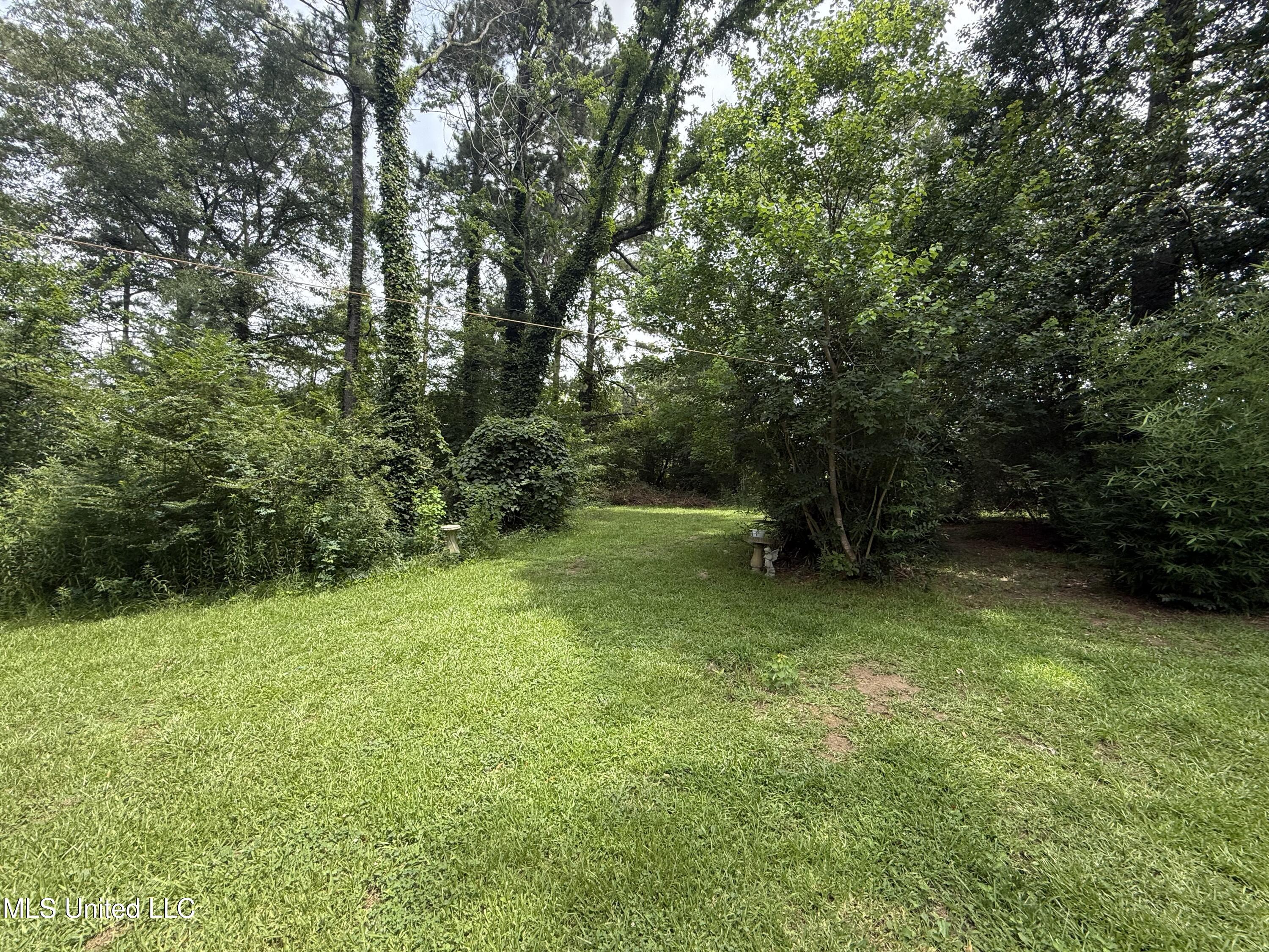 504 Fawn Cove Canton, MS 39046 - Photo 23 of 25 IMG_3698