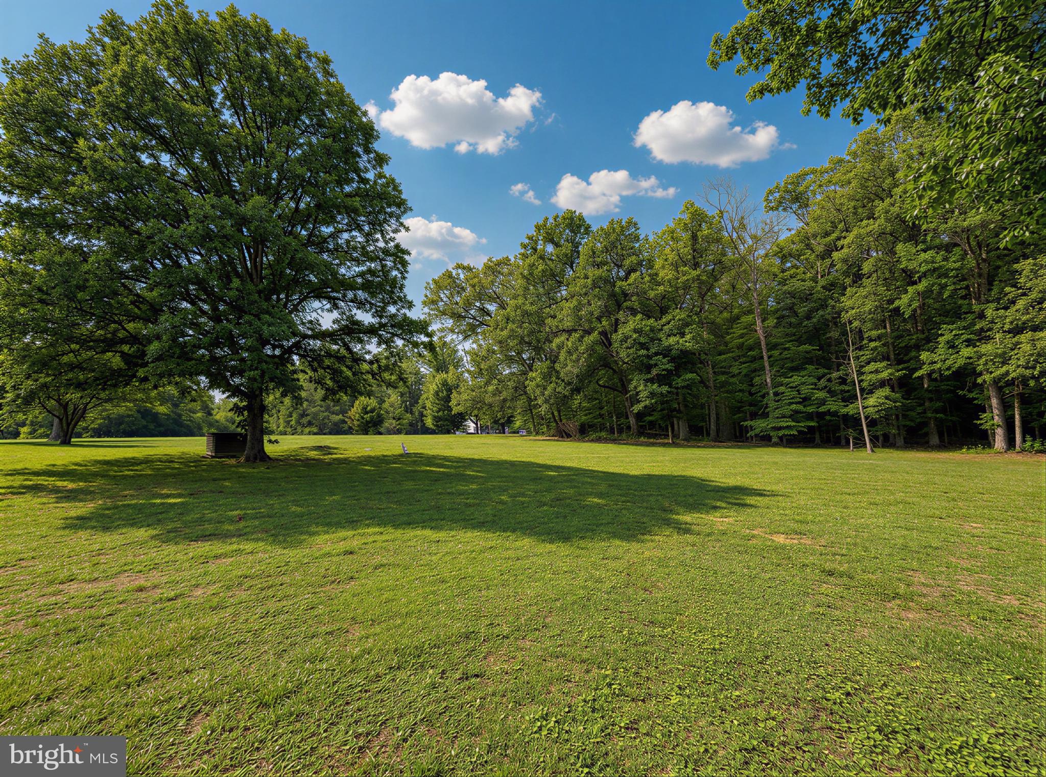 9600 Adams Willett Road Nanjemoy, MD 20662 - Photo 43 of 72