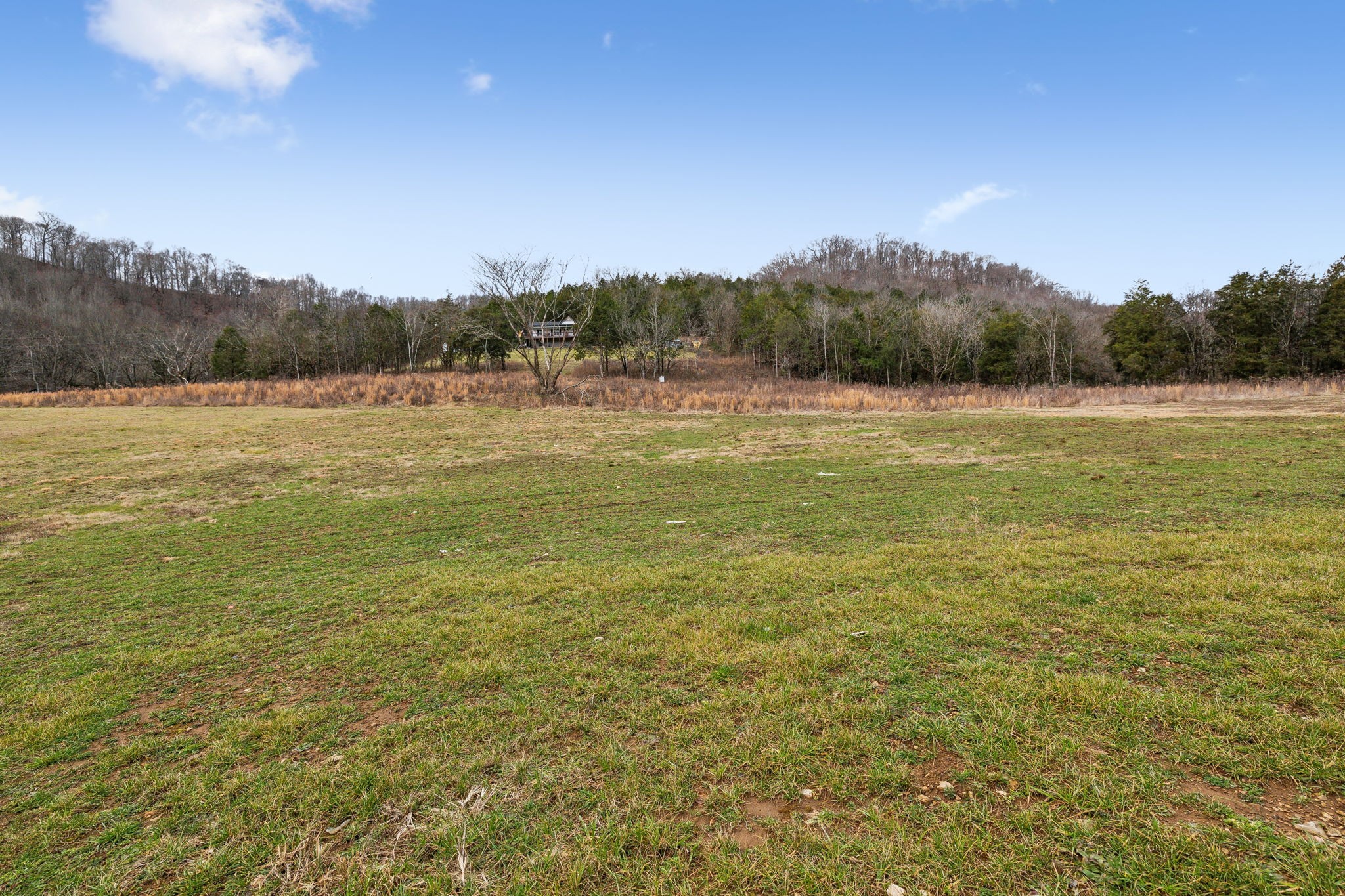276 Club Springs Road Elmwood, TN 38560 - Photo 35 of 35 Gallery Image 35
