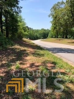 9.5-acres South Bethany Road Locust Grove, GA 30248 - Photo 1 of 1 a view of a yard