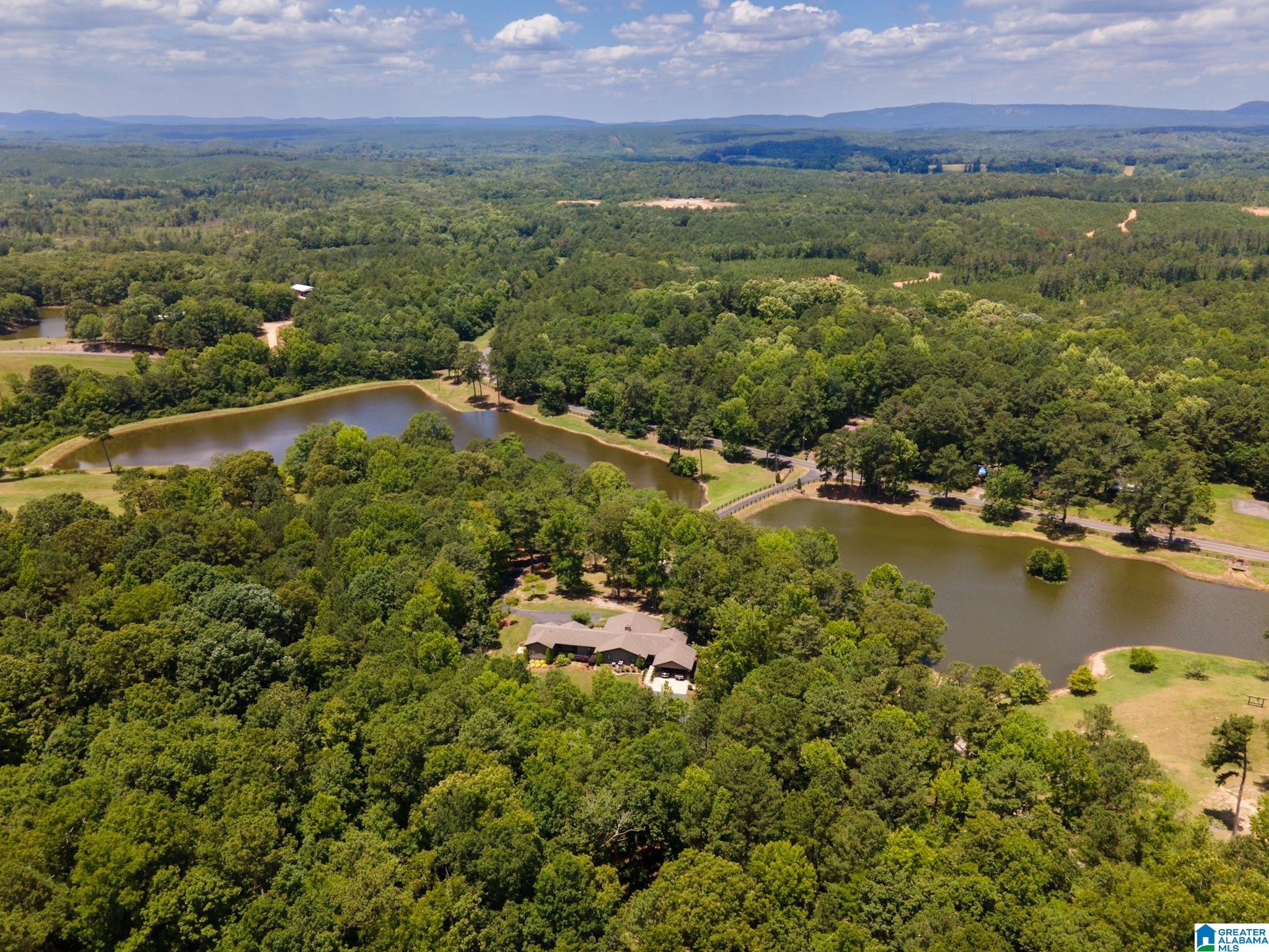7146 Dry Creek Road Pell City, AL 35128 - Photo 2 of 100
